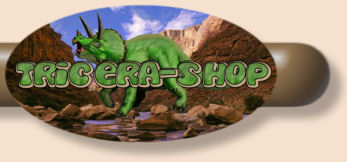 Right_Footer_Shadow